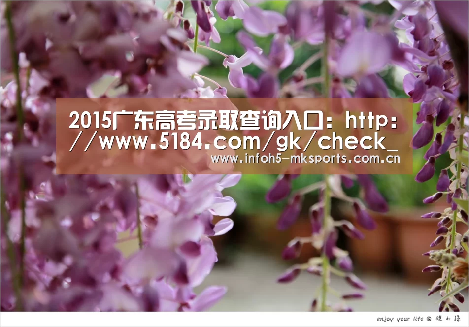 MK体育下载
