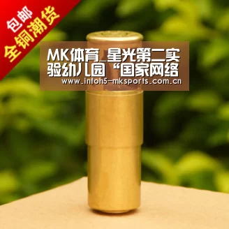 MK体育_星光第二实验幼儿园“国家网络安全宣传周”系列活动(图3) MK体育app