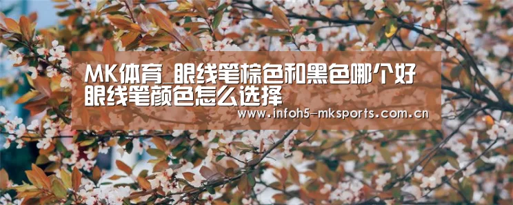 MK体育_眼线笔棕色和黑色哪个好 眼线笔颜色怎么选择(图2)